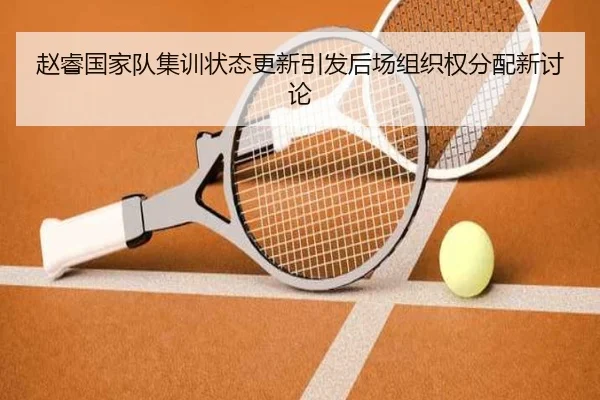 赵睿国家队集训状态更新引发后场组织权分配新讨论